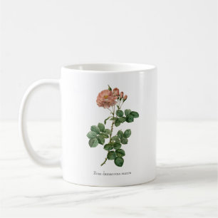 Die Morgenröte: Rosa Damascena "Aurora"-Tasse Kaffeetasse