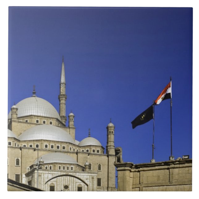 Die Moschee Muhammad Ali in der Citadel, Fliese (Vorderseite)