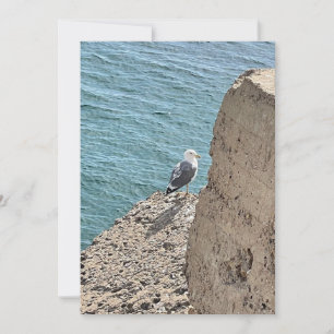 Die Möwe am Meer
