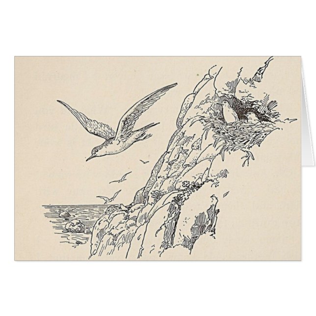 Die Möwen (Vorderseite (Horizontal))
