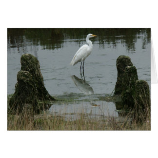 Die Mündung der Dünen von Pajaro