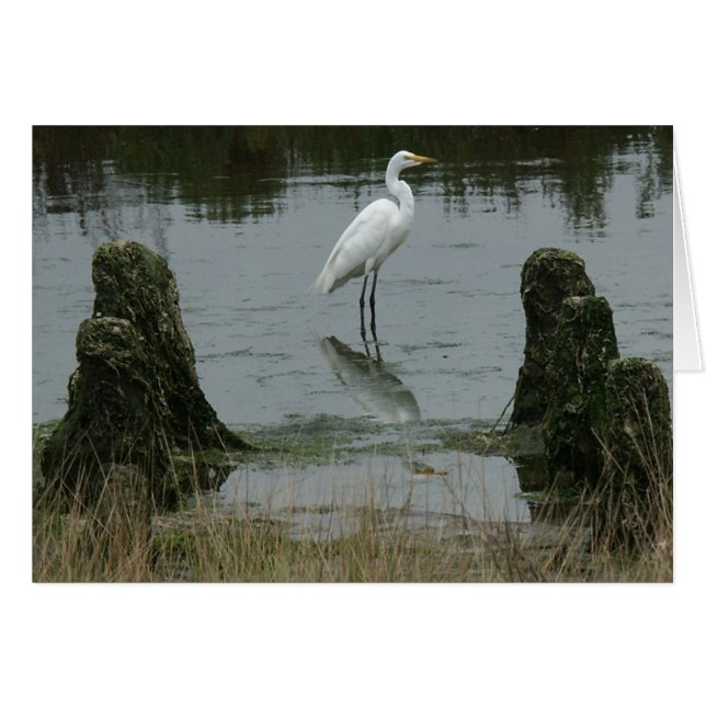 Die Mündung der Dünen von Pajaro (Vorderseite (Horizontal))