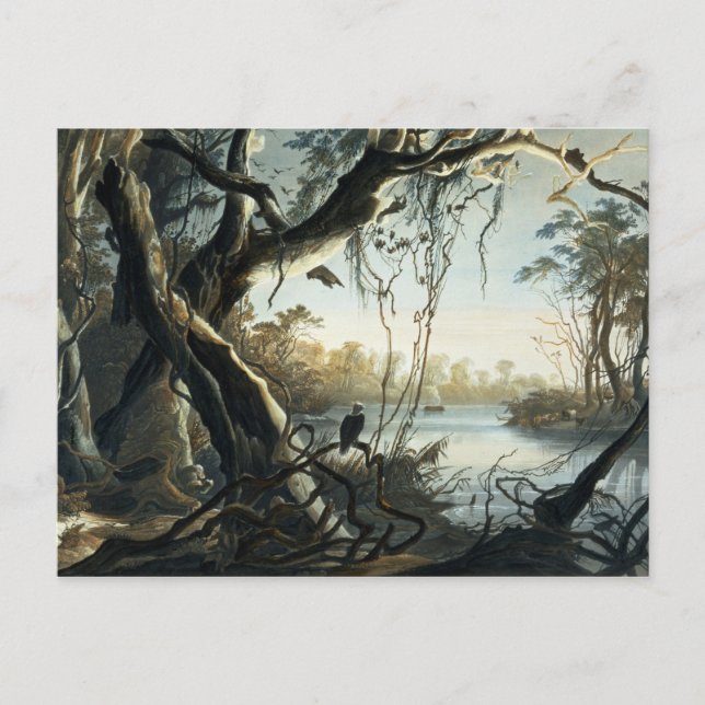 Die Mündung des Fox River, Indiana, Platte 5 von Postkarte (Vorderseite)