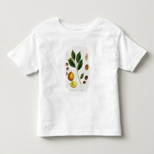 Die Muskatnuss, überziehen 353 von "einem Kleinkind T-shirt