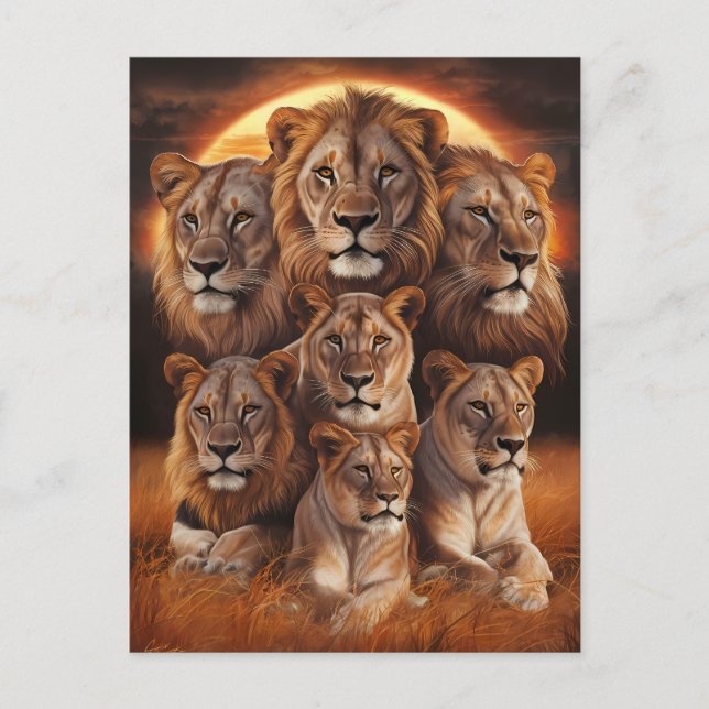 Die Nacht im Himmel: Löwen im Mondschein Postkarte (Vorderseite)