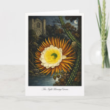 Die Nachtblühende Cereus — Moderne botanische Neui