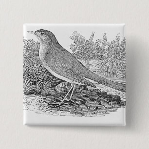 Die Nachtigall Button