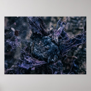 Die Nachtwurzeln der verborgenen Grotte Wandkunst Poster