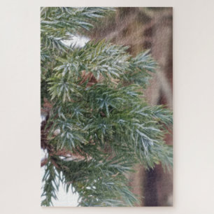 Die Nadeln von Evergreen im Winter im Detail Puzzle