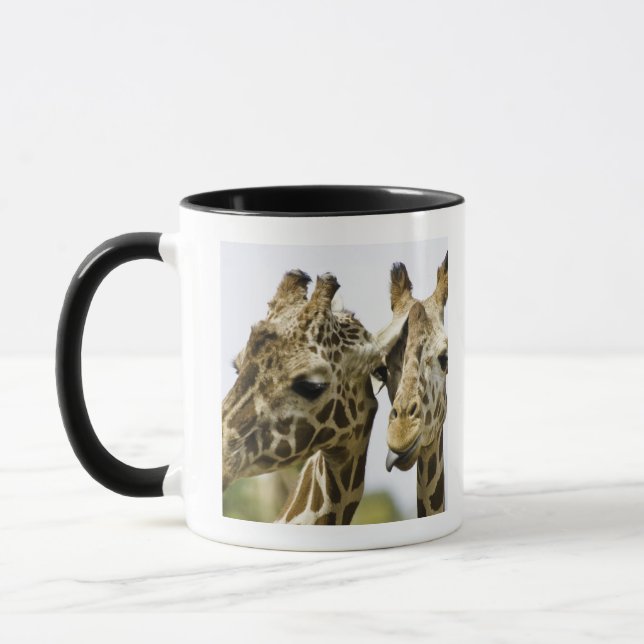 Die Namensgiraffe wird vom arabischen Wort Tasse (Links)