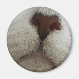 Die Nase kennt den Cat Nose #1-Magneten Magnet