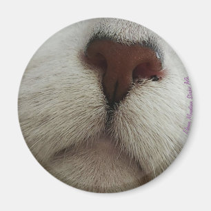 Die Nase kennt den Cat Nose #1-Magneten Magnet