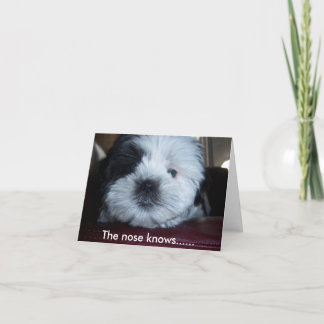Die Nase weiß... Karte