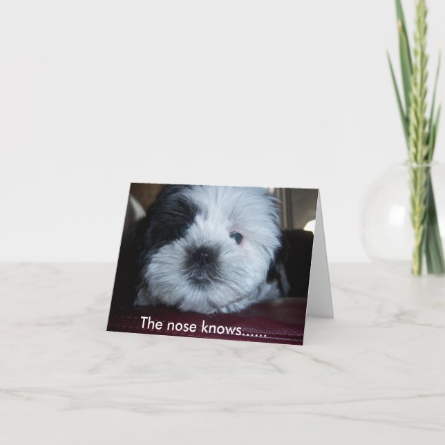 Die Nase weiß... Karte (Vorderseite)