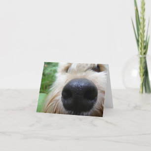 Die Nase weiß! Karte