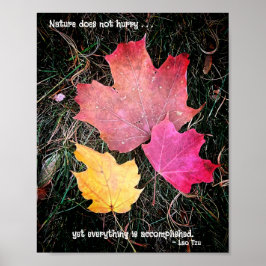 Die Natur beeilt sich nicht - alles ist vollbracht Poster