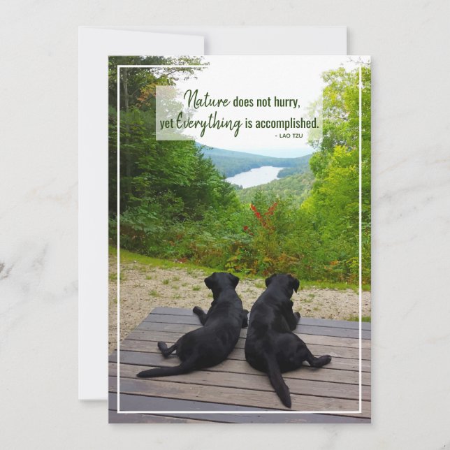 Die Natur beeilt sich nicht zu einem inspirierende Karte (Vorderseite)