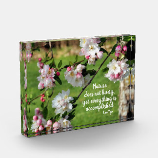 Die Natur beeilt sich nicht zu inspirierendem Zita Fotoblock