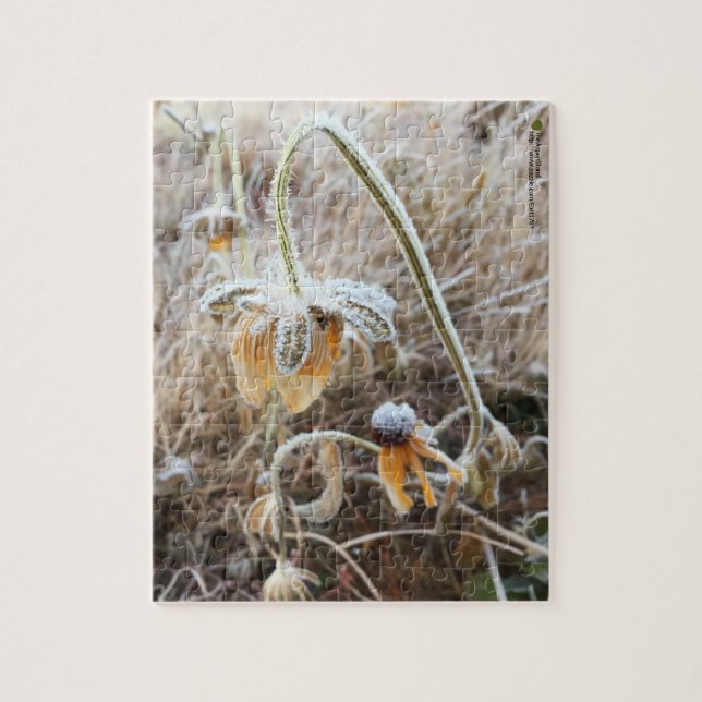 Die Natur berührte Rudbeckia überzogen im Morgenfr Puzzle (Vertikal)
