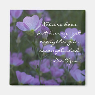 Die Natur eilt nicht Magnet