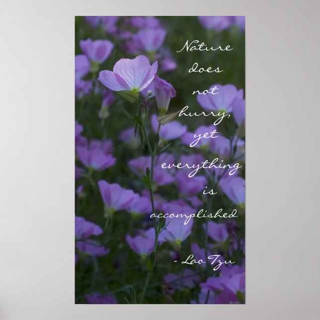 "Die Natur eilt nicht Poster (Vorne)