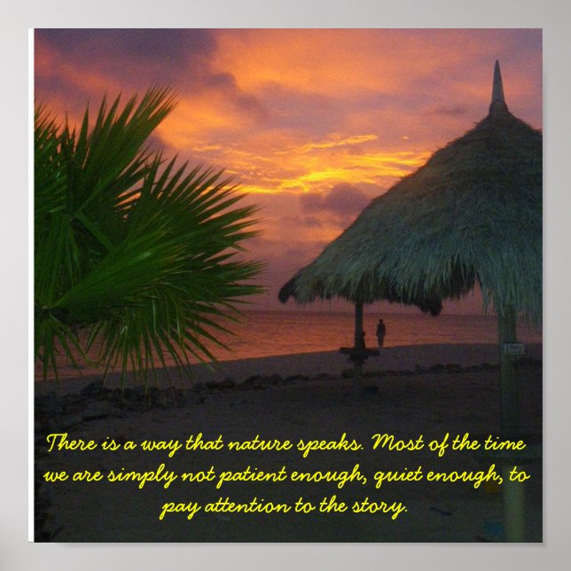 Die Natur hören Poster (Vorne)