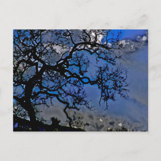 Die Natur ist alt Postkarte