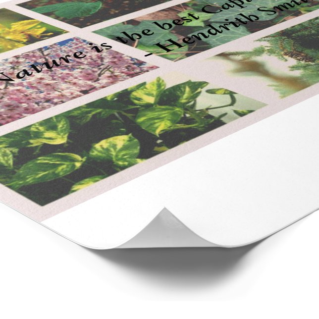 "Die Natur ist der beste Kapitalist, den ich kenne Poster (Ecke)