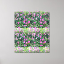 Die Natur ist eine wunderschöne, farbenfrohe Blume