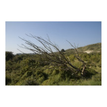 Die Natur ist manchmal einsam