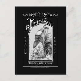 Die Natur-Jester und das Zeitalter Postkarte