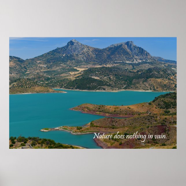 Die Natur tut nichts vergeblich Poster (Vorne)