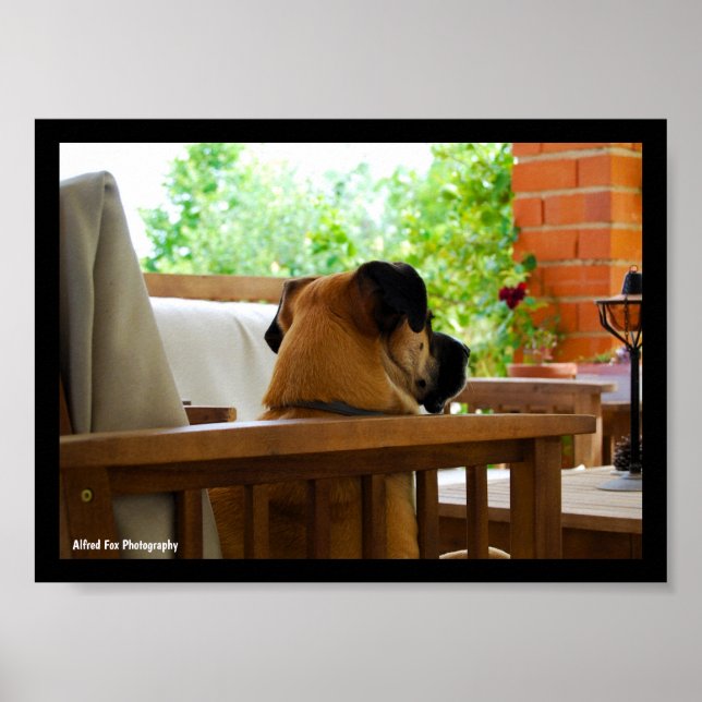 Die Neighborhood Watch Poster (Vorne)