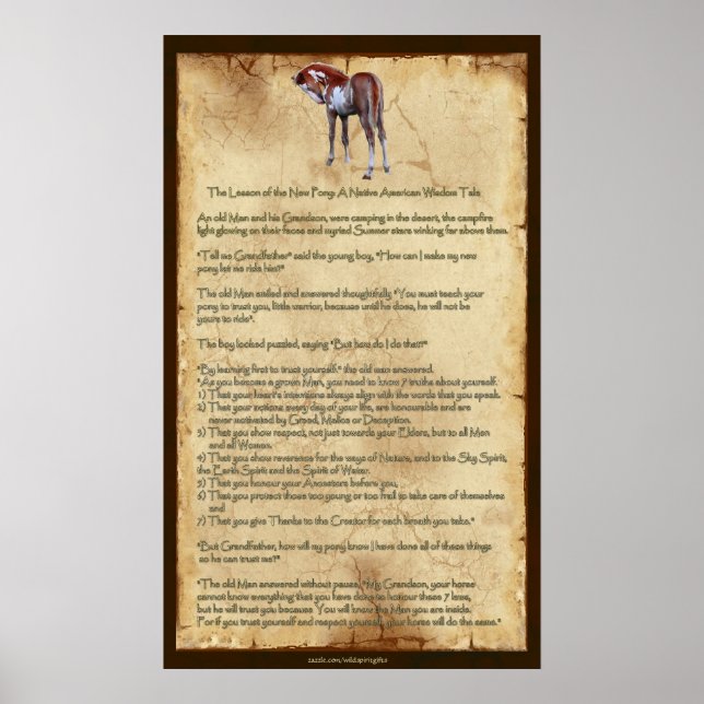 Die neue Pony-Lektion: Indianerisches amerikanisch Poster (Vorne)