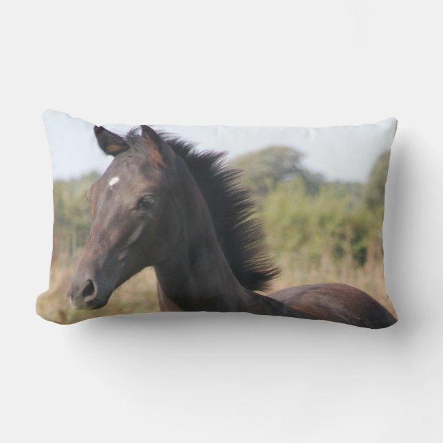 Die neue Pony Lendenkissen (Vorderseite)