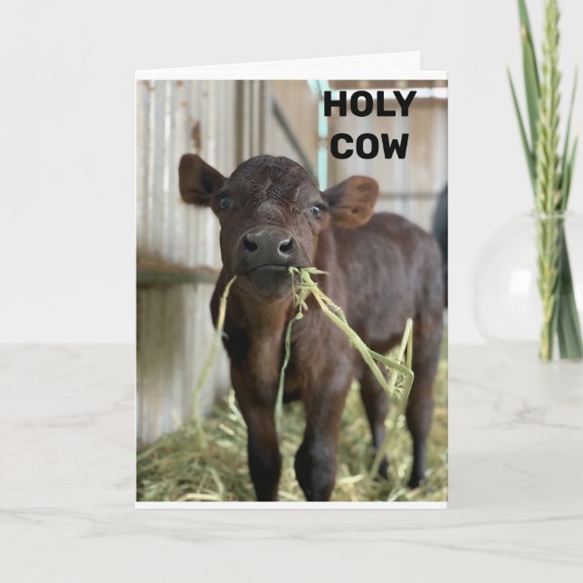 DIE NEUESTEN MOOS SIND ***50*** KARTE (Vorderseite)