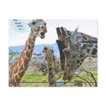 Die neuesten Nachrichten sind Postkarten