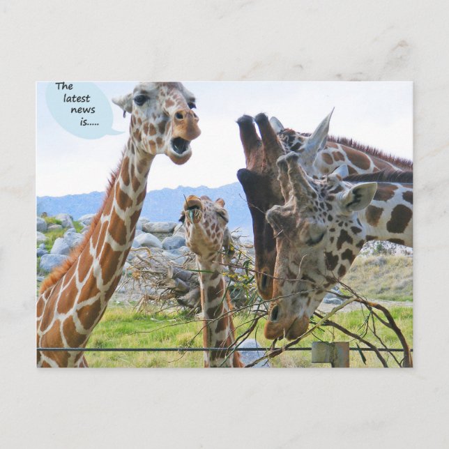 Die neuesten Nachrichten sind Postkarten (Vorderseite)