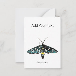 Die neunGepunktete Moth Amata phegea Illustration Mitteilungskarte