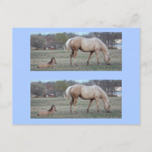 Die Newcomer Bookmarkers Postkarte