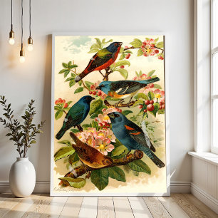 Die nordamerikanische Vogelwelt, Gustav Mützel Poster
