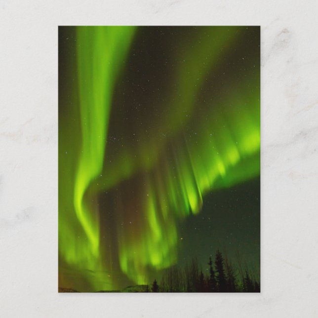 Die Nordlichter | Banken, Alaska Postkarte (Vorderseite)