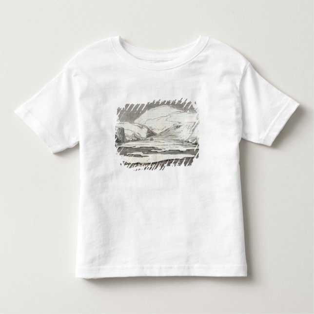 Die Nordpol-Expedition Kleinkind T-shirt (Vorderseite)
