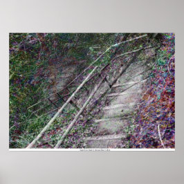 Die oberflächliche Treppe von Rowan Blair Colver Poster