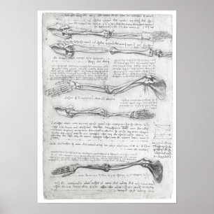 Die oberste Extremität, Leonardo da Vinci Poster