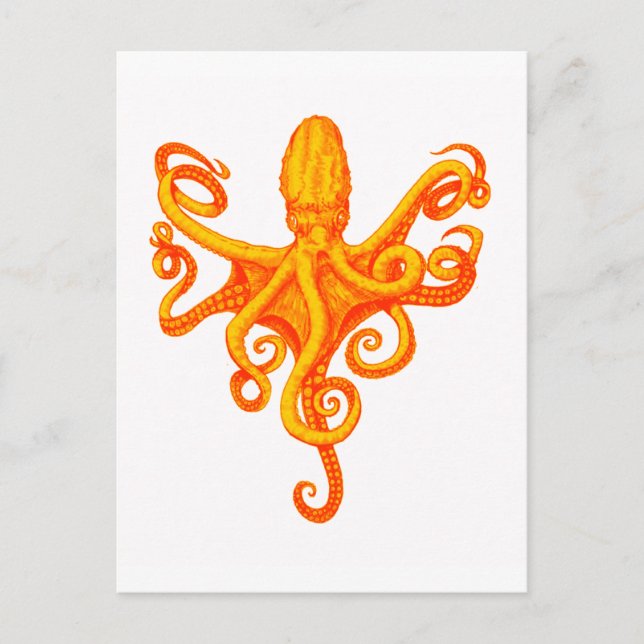 DIE OCTOPUS-ZEILE POSTKARTE (Vorderseite)