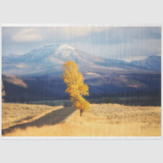 Die offene Straße Seidenpapier