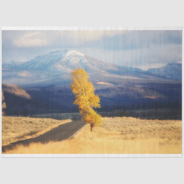 Die offene Straße Seidenpapier (Vorderseite)