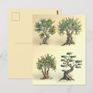 Die Olivenbäume in der Provence beschnitten. Postkarte