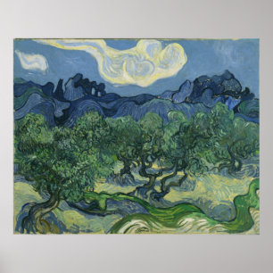 Die Olivenbäume von Vincent Van Gogh Poster